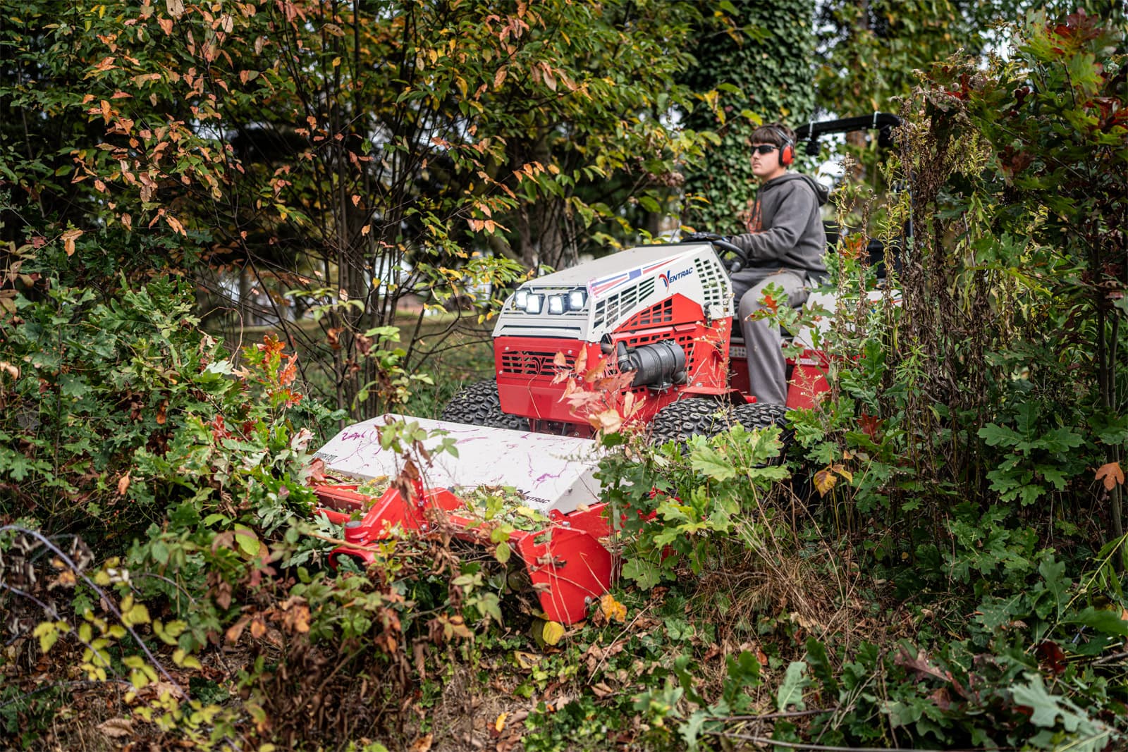 Property Maintenance